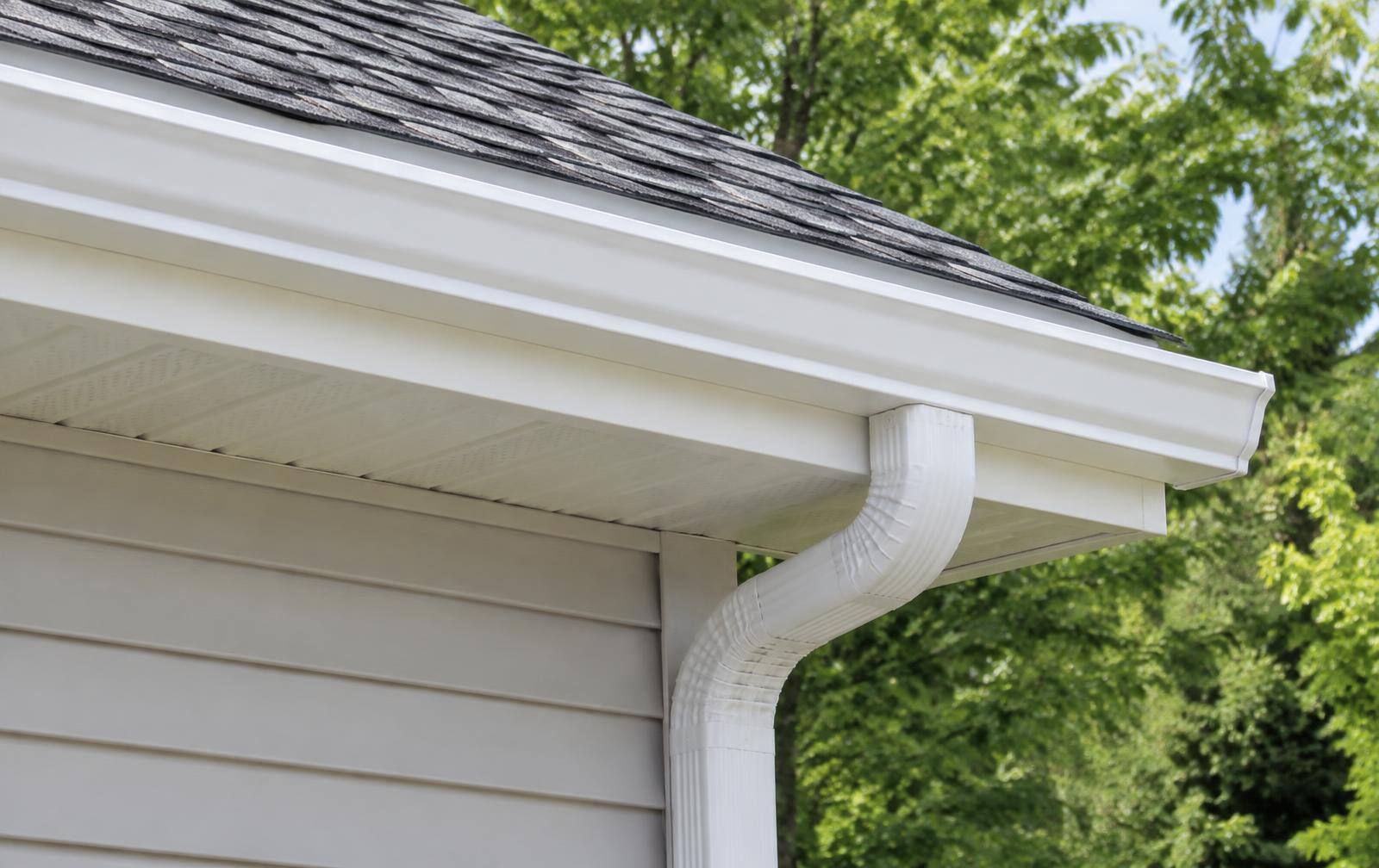 White gutter and downspout under a shingle roof